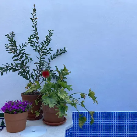 Casa Clemente 32, Private House With Plunge Pool