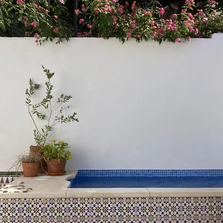 Casa Clemente 32, Private House With Plunge Pool *